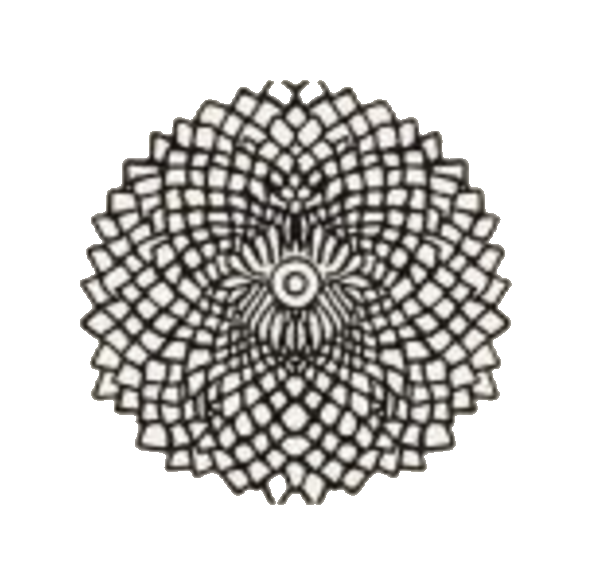 Muladhara & Storm logo