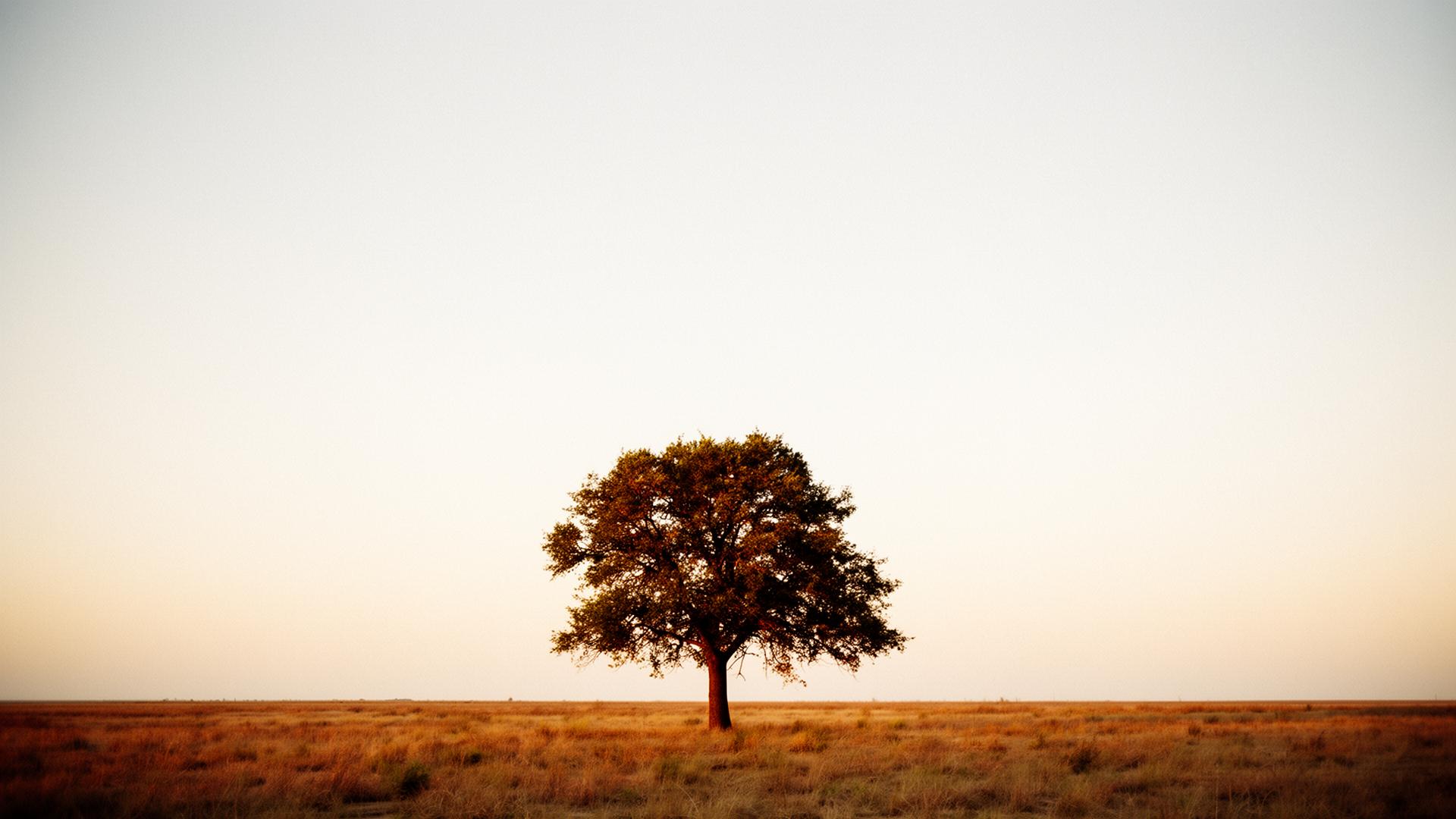 Meditation